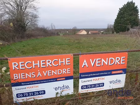 vente terrain 4325 m² à saint-plaisir (03160)  57 000 €