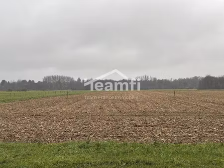 vente terrain à batir 1056 m² à germigny-des-prés (45110)  59 500 €