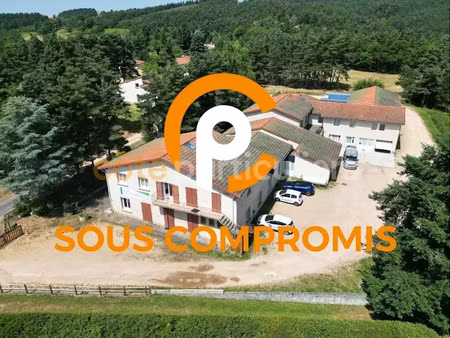 vente locaux professionnels 900 m² à chaspinhac (43700)  315 000 €