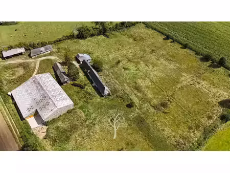 propriété équestre à vendre en normandie - pays de bray