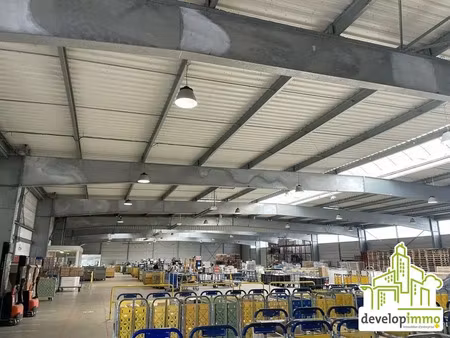 local d'activite a louer