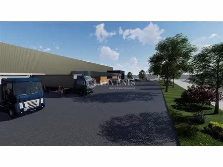 local d'activités a louer