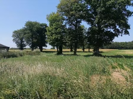 achat terrain 2 000m² loyat 56800