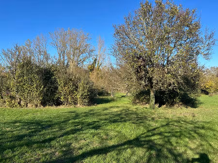 vente terrain  1648.00m²  chaillé
