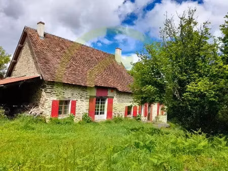 vente maison 7 pièces 180 m² préveranges (18370)