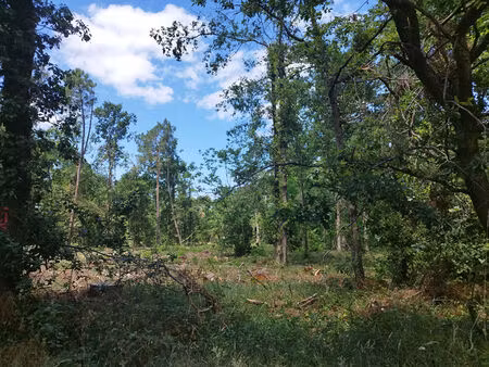 terrain selles sur cher 3789 m2