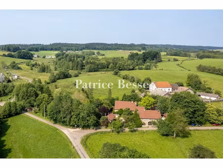 vente maison 13 pièces 497 m² à luxeuil-les-bains (70300)  445 000 €
