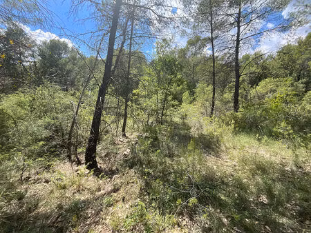 a vendre en exclusivité à callas terrain de loisirs de 3672 m²