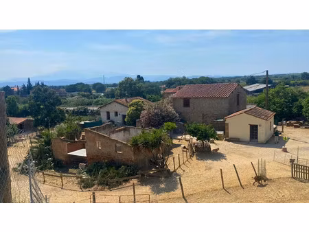 vente ferme 38000 m² à villemolaque (66300)  523 000 €