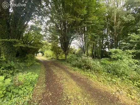 vente propriété 10 pièces 316 m² à carvin (62220)  945 000 €