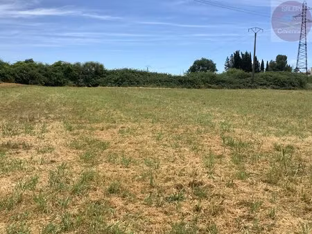 terrain constructible