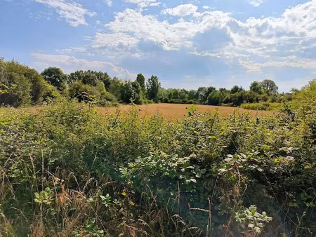 vente terrain 5122 m² à romorantin-lanthenay (41200)  46 200 €