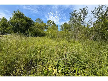 vente terrain 1472 m² à signy-l'abbaye (08460)  45 000 €