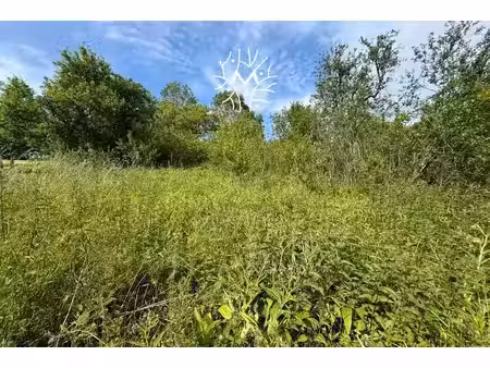 vente terrain 1472 m² à signy-l'abbaye (08460)  45 000 €