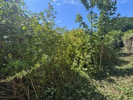 houilles les pierreats exclusivte