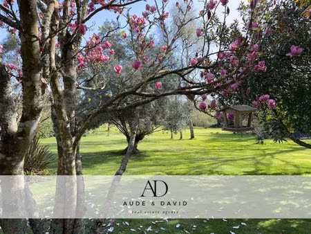 vente terrain 19350 m² à clohars-fouesnant (29950)  315 000 €