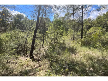 annonce terrain à vendre