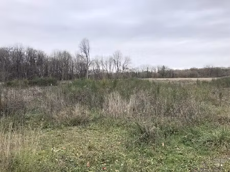 vente terrain 1420 m² à verrie (49400)  69 500 €