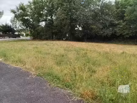 vente terrain 398 m² fontcouverte (17100)