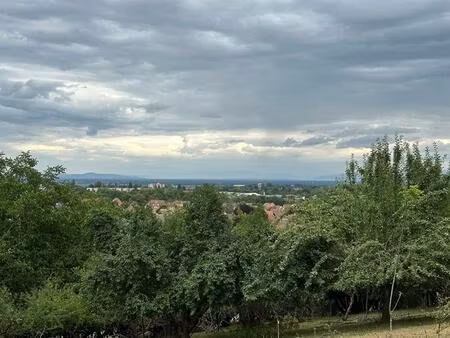 achat terrain 3 739m² soultz haut rhin 68360