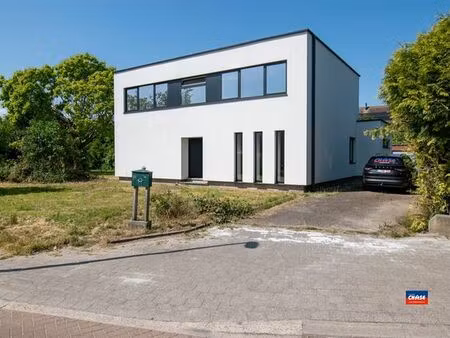 maison à vendre à lint € 649.000 (lahps) - chase vastgoed | zimmo