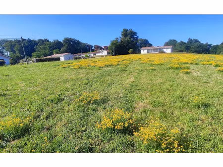 terrain horsarrieu m² t- à vendre  31 600 €