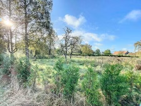 maison à vendre à wijer € 349.000 (laidn) - century 21 immo k | zimmo