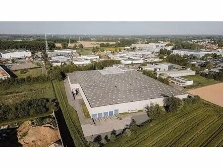 entrepôt logistique 11.139 m² à louer – boortmeerbeek