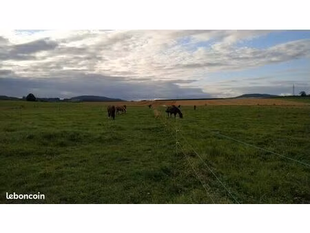 terrain agricole 6 ha (maraîchage / pension chevaux)