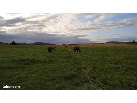 terrain agricole 8 ha (maraîchage / pension chevaux)