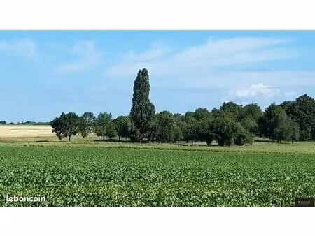 terrain 517 m² limours