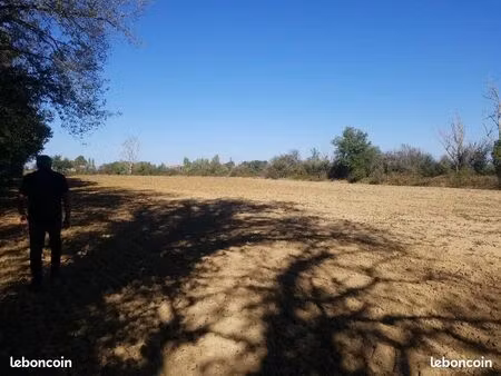 terrain 6 ha la magdelaine sur tarn