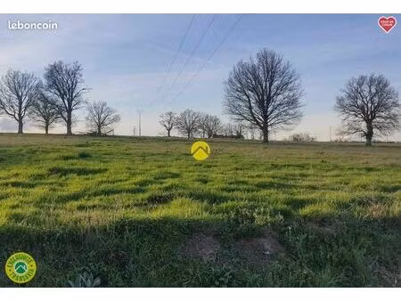 terrain 5 425 m² villefranche d allier