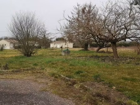 terrain 5 000 m2 en gironde 33 vocation économique  développement du grand pineuilh