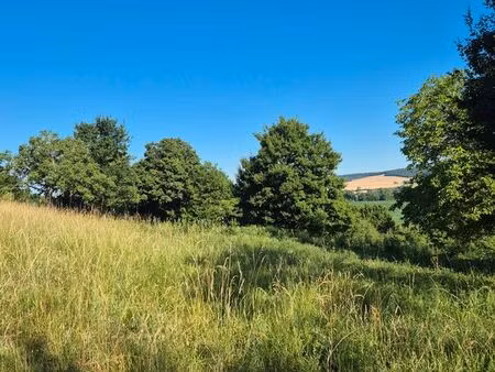 terrain constructible