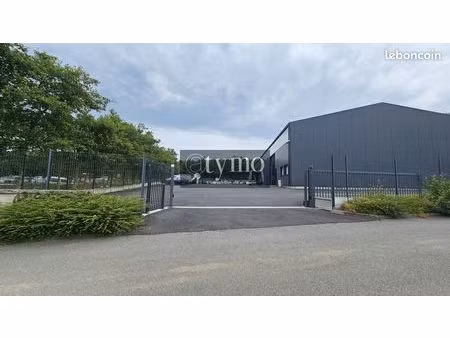local 225 m² landerneau