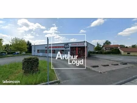 local 320 m² taillecourt