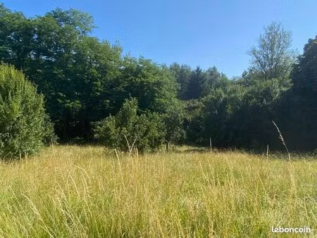 terrain 2 750 m² saint genes de lombaud