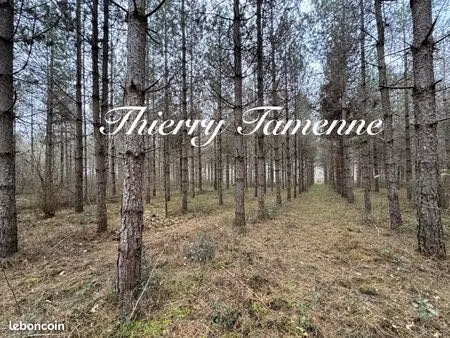 forêt 33 570 m² barbaste