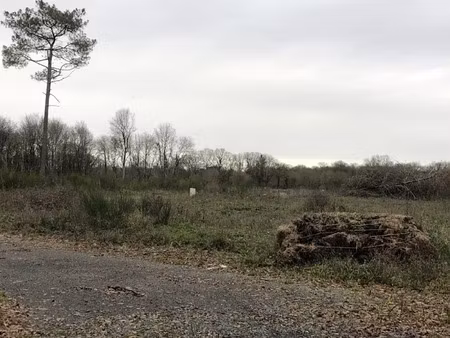 vente terrain 942 m² à verrie (49400)  60 800 €