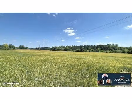 terrain 8973 m² huiron