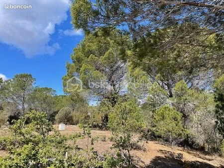 terrain agricole 6 375 m² nefiach