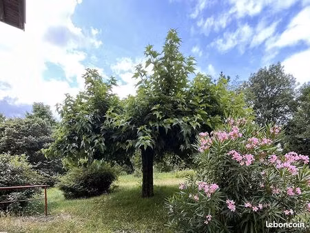 maison 7 pièces 277 m²