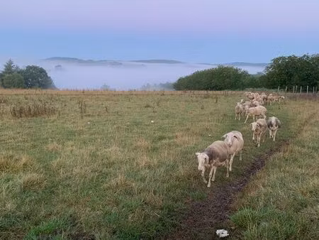 exploitation ovin lait/bergerie