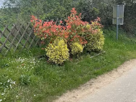 vente terrain 654 m² à hagen (57570)  210 000 €