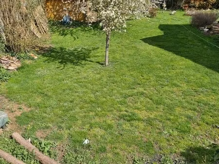 terrain constructible