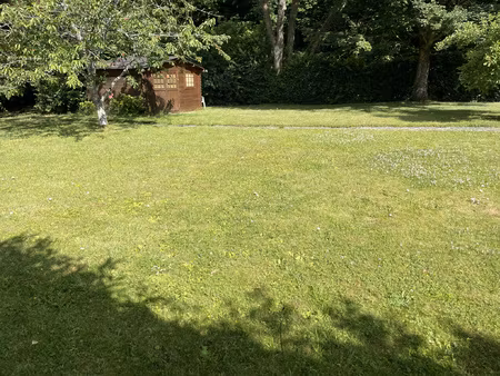 magnifique terrain arboré et constructible !