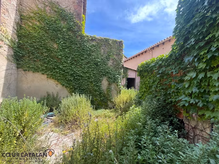 thuir centre-ville : studio en rdc jardin / ou local profess