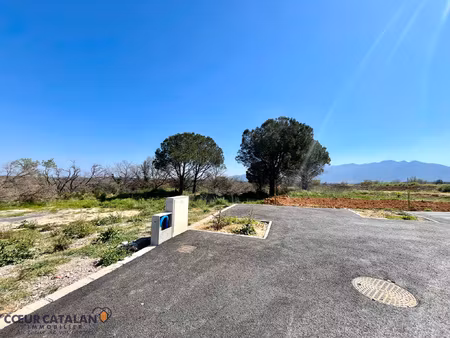 à vendre - tresserre - terrain viabilisé 328m2