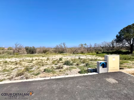 a vendre - tresserre - terrain a batir 215m2